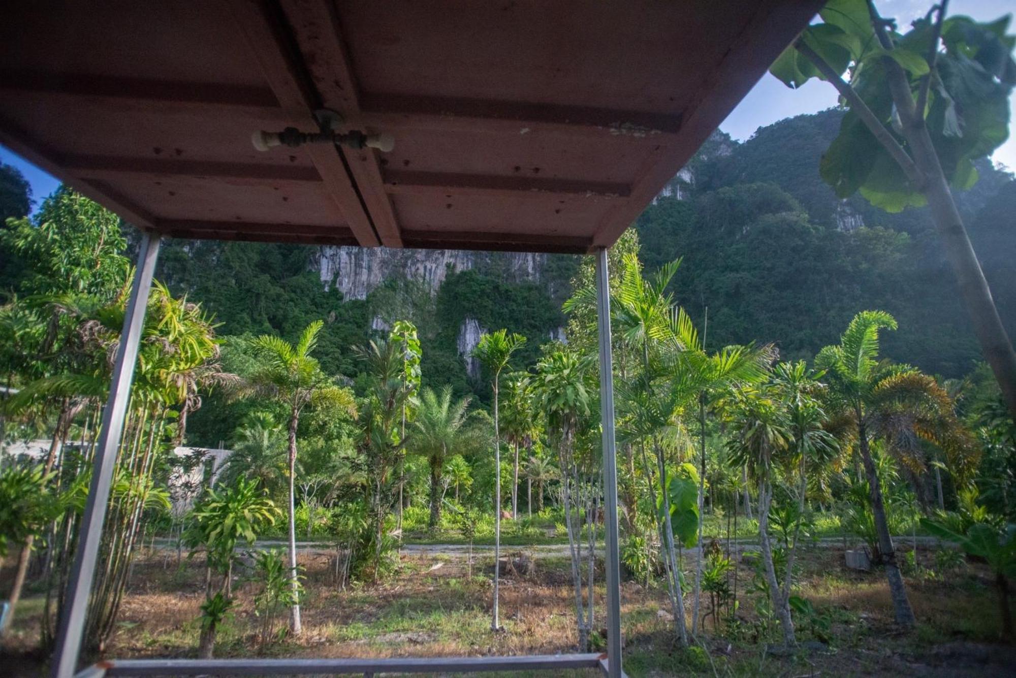 The Camper Lodge Khao Sok Ban Bang Bon Eksteriør billede